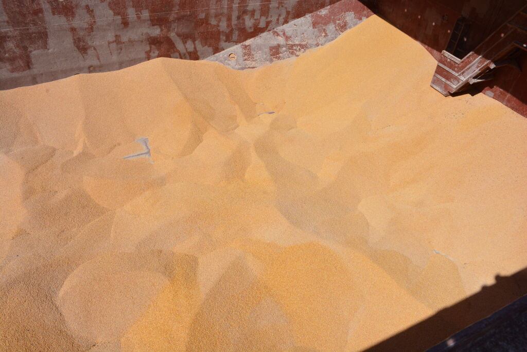 El cereal de Ucrania que es exportado a través del Mar Negro