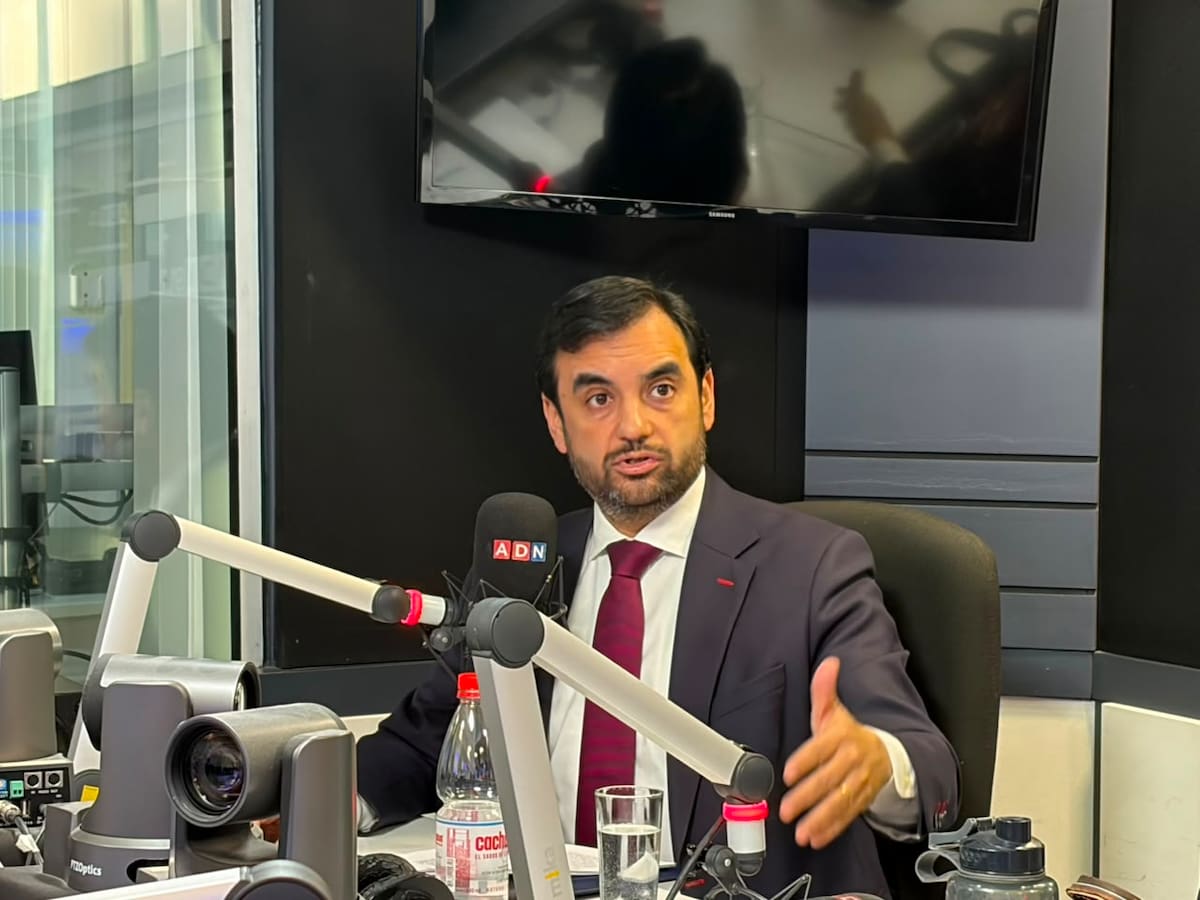 Gajardo tras fallo del TC por la megarreforma: “Lo que se quería dictar como ley eran normas inconstitucionales”