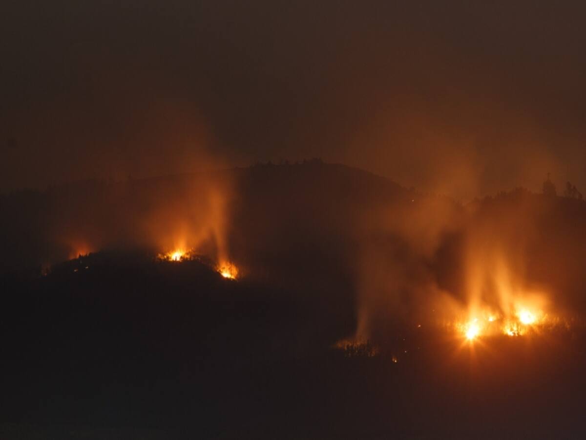 Delegada presidencial de Los Ríos por los incendios forestales: «Hoy tenemos 3 situaciones críticas en la zona»