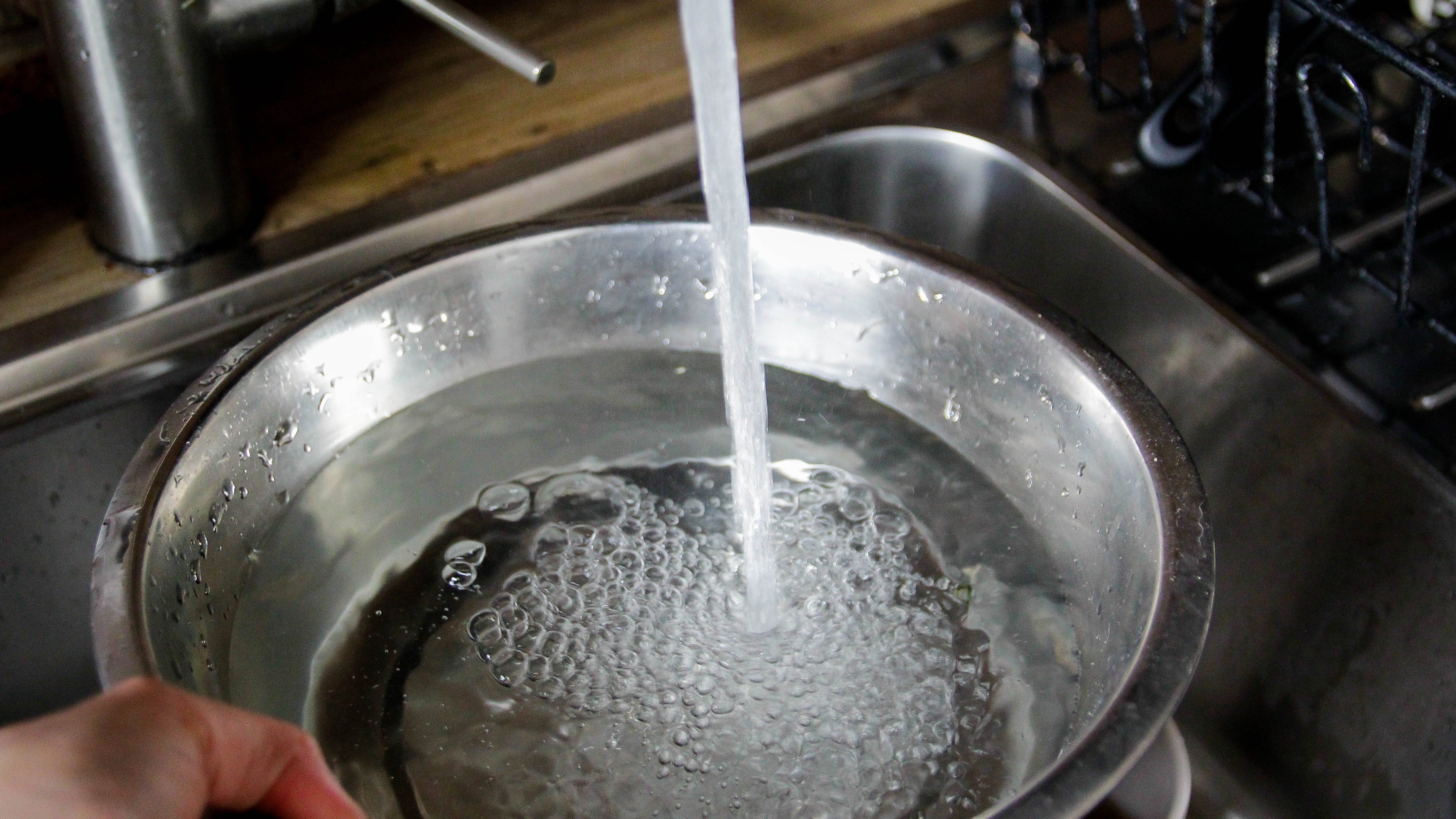 Dog bowl, tap water, sink