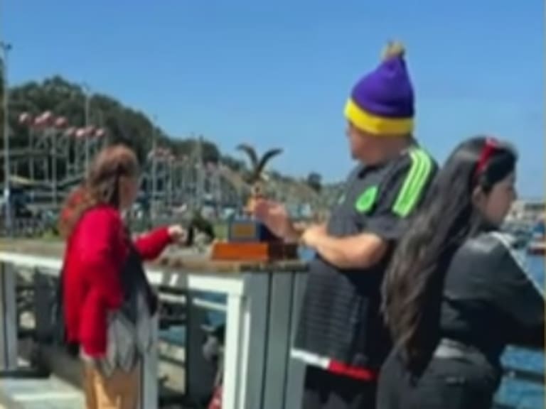 ¡Vendiendo fotos con sus gaviotas! Revelan difícil estado económico de humorista que triunfó en Viña