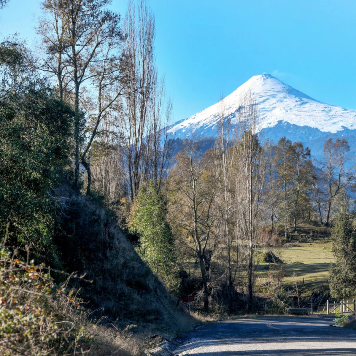 Conaf confirma muerte de excursionista tras caer en grieta del Volcán Osorno