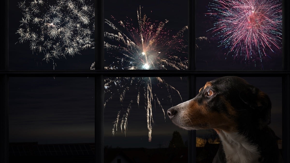 Fuegos Artificiales de Año Nuevo