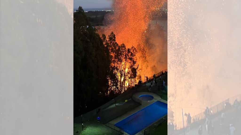 Incendio forestal, san pedro de la paz, 1024x576 jpg ok