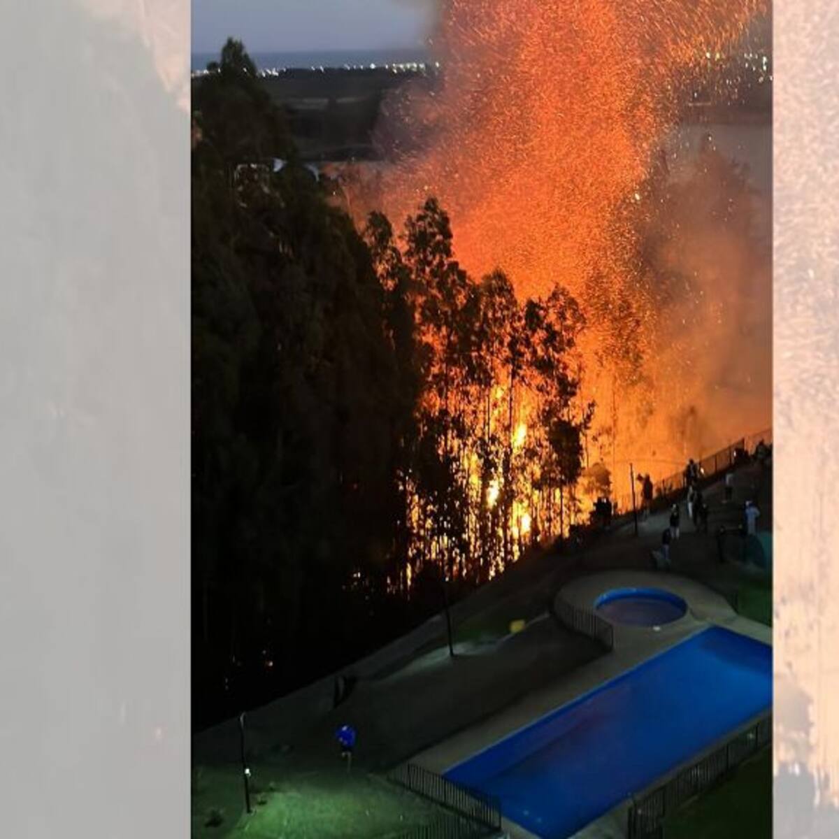 Incendio forestal en San Pedro de la Paz obliga a evacuar edificio: llamas también ponen en riesgo centro educacional