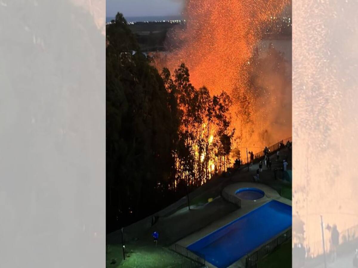 Incendio forestal en San Pedro de la Paz obliga a evacuar edificio: llamas también ponen en riesgo centro educacional