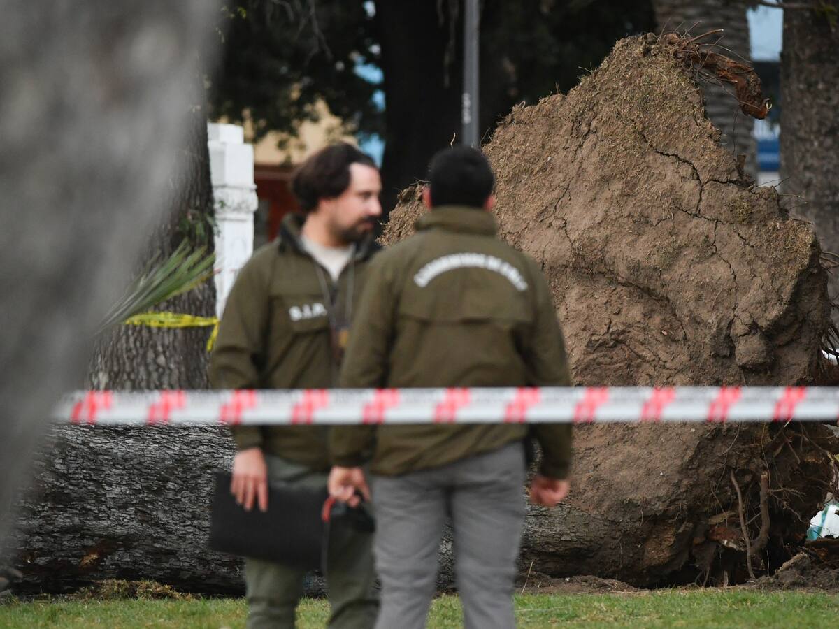 “No merecía lo que le pasó”: padre de joven muerto tras caída de árbol en Valparaíso llegó desde Pucón a reclamar cuerpo de su hijo