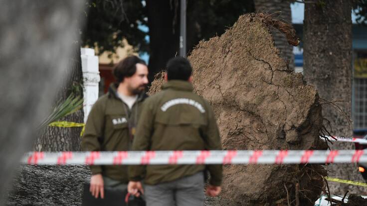 Padre de joven muerto tras caida de árbol en Parque Italia de Valparaiso
