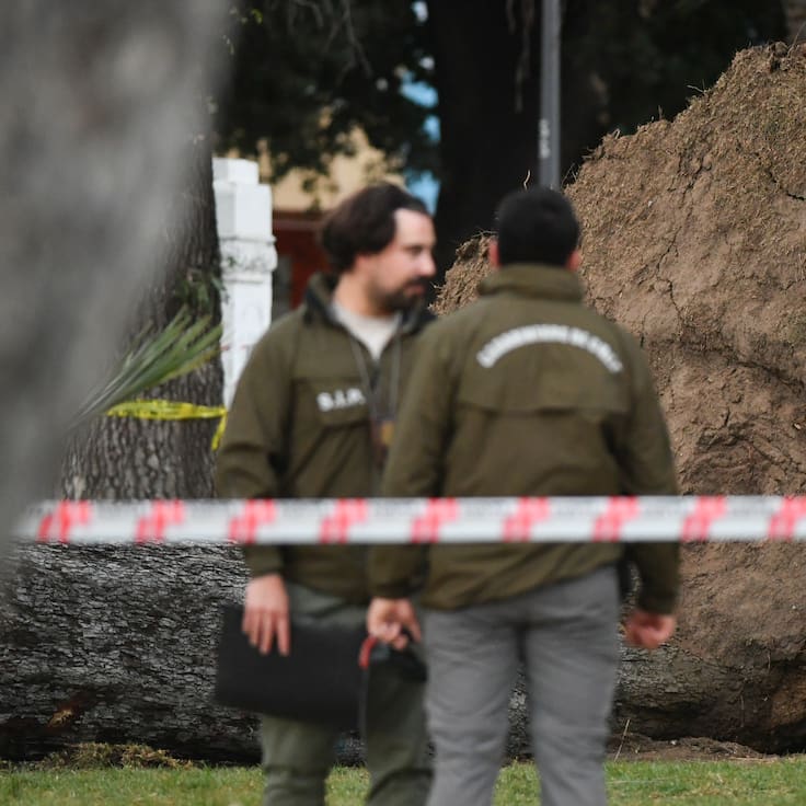 “No merecía lo que le pasó”: padre de joven muerto tras caída de árbol en Valparaíso llegó desde Pucón a reclamar cuerpo de su hijo