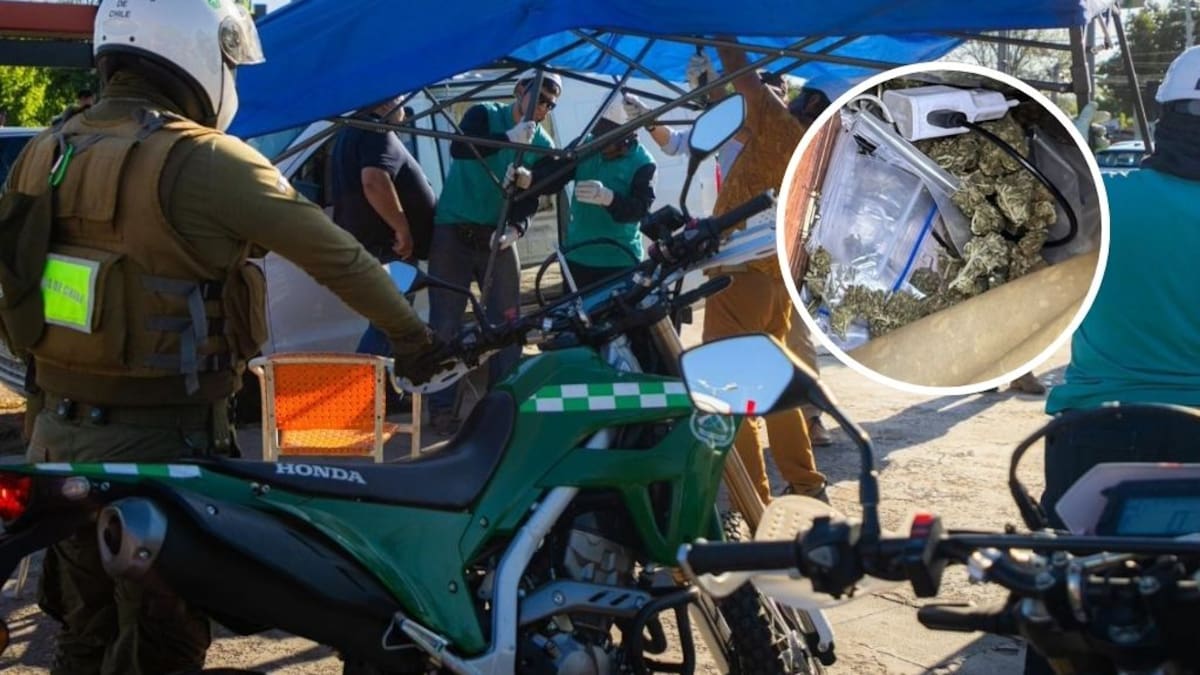 Encontraron droga en puestos: fiscalización en feria navideña ilegal de Peñalolén deja dos detenidos