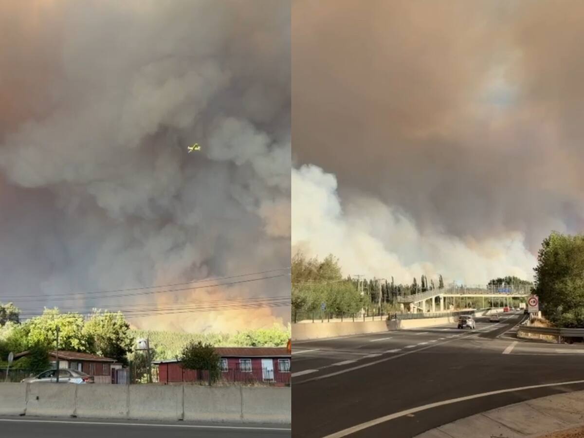 Por incendio forestal: decretan alerta roja y se activa mensajería SAE para evacuar en sectores de Concepción