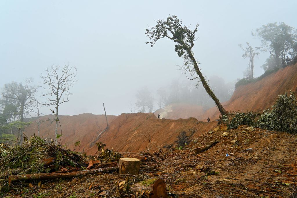 La deforestación por una ruta en una zona de montaña en Indonesia