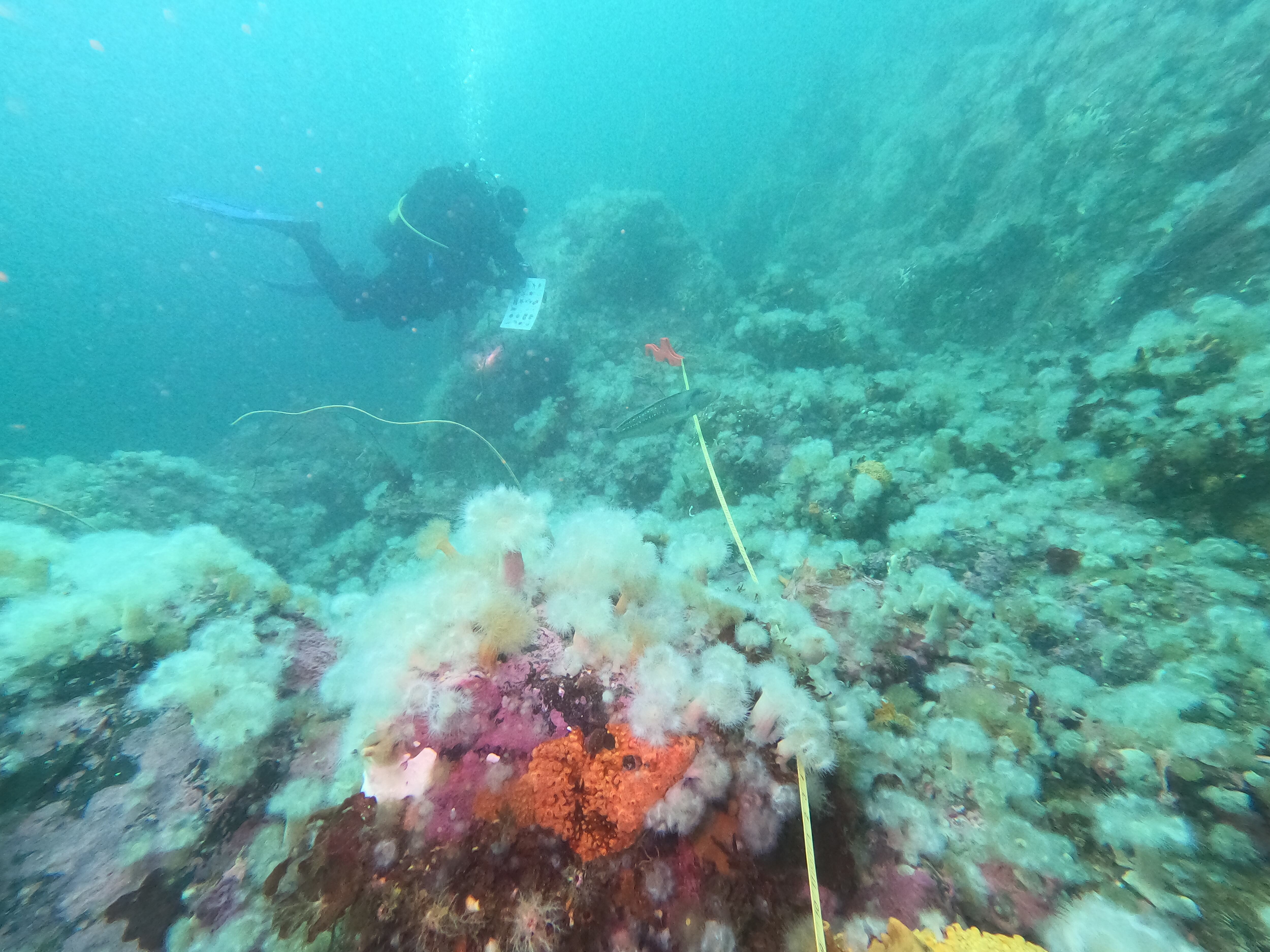 DCIM\100GOPRO\GOPR4572.JPG