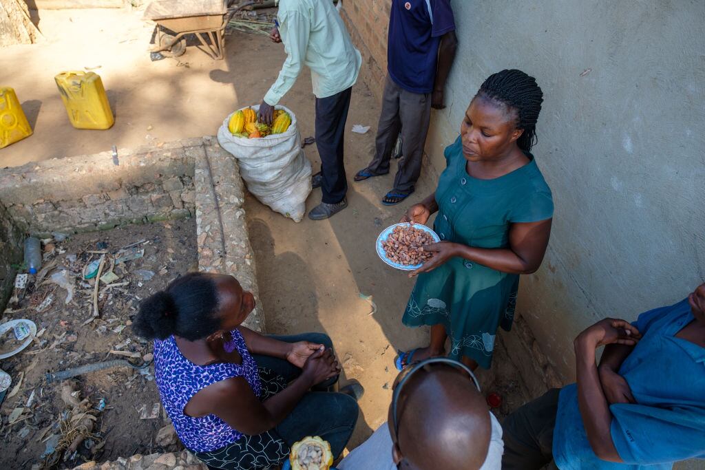 Campesinos que cosechan la cocoa toman un descanso en Uganda