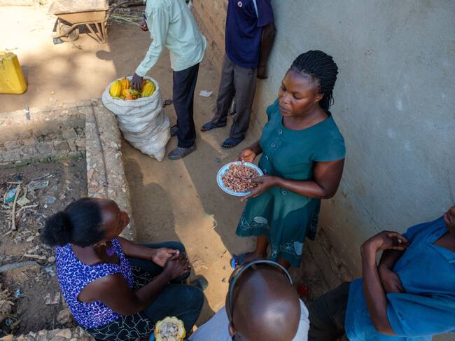 Campesinos que cosechan la cocoa toman un descanso en Uganda