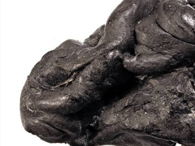 Un «chicle» de resina de hace 6.000 años conservó ADN de una niña que vivía en la actual Dinamarca