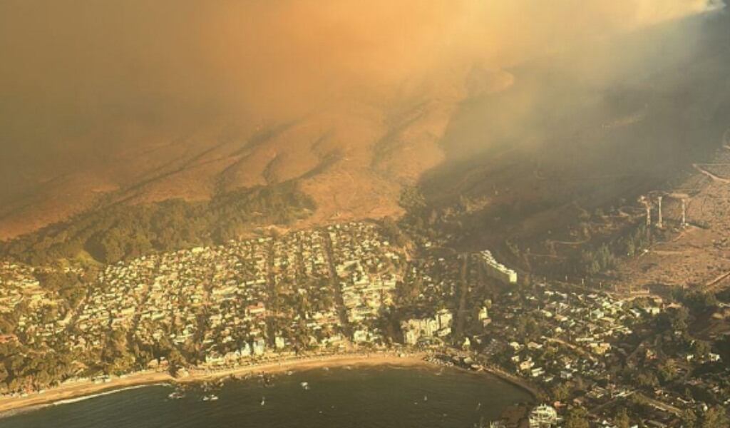 Incendio forestal en Zapallar