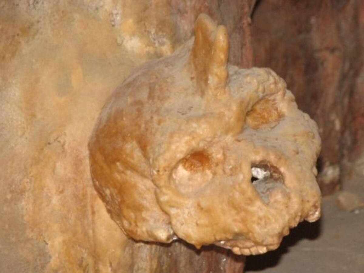 El misterioso cráneo fusionado a la pared de una cueva que podría revolucionar nuestro entendimiento de la especie humana