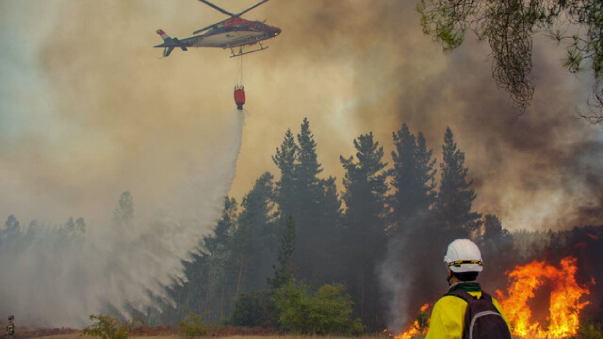 Servicio Nacional de Prevención y Respuesta ante Desastres (Senapred), consolidado, incendios en combate, 24 víctimas fatales, infraestructura crítica dañada, calidad del aire, p