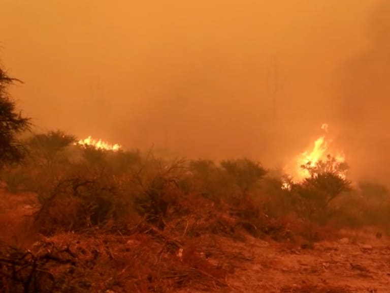 MINUTO A MINUTO | Más de 400 hectáreas quemadas y una decena de casas afectadas deja incendio forestal en Quilpué