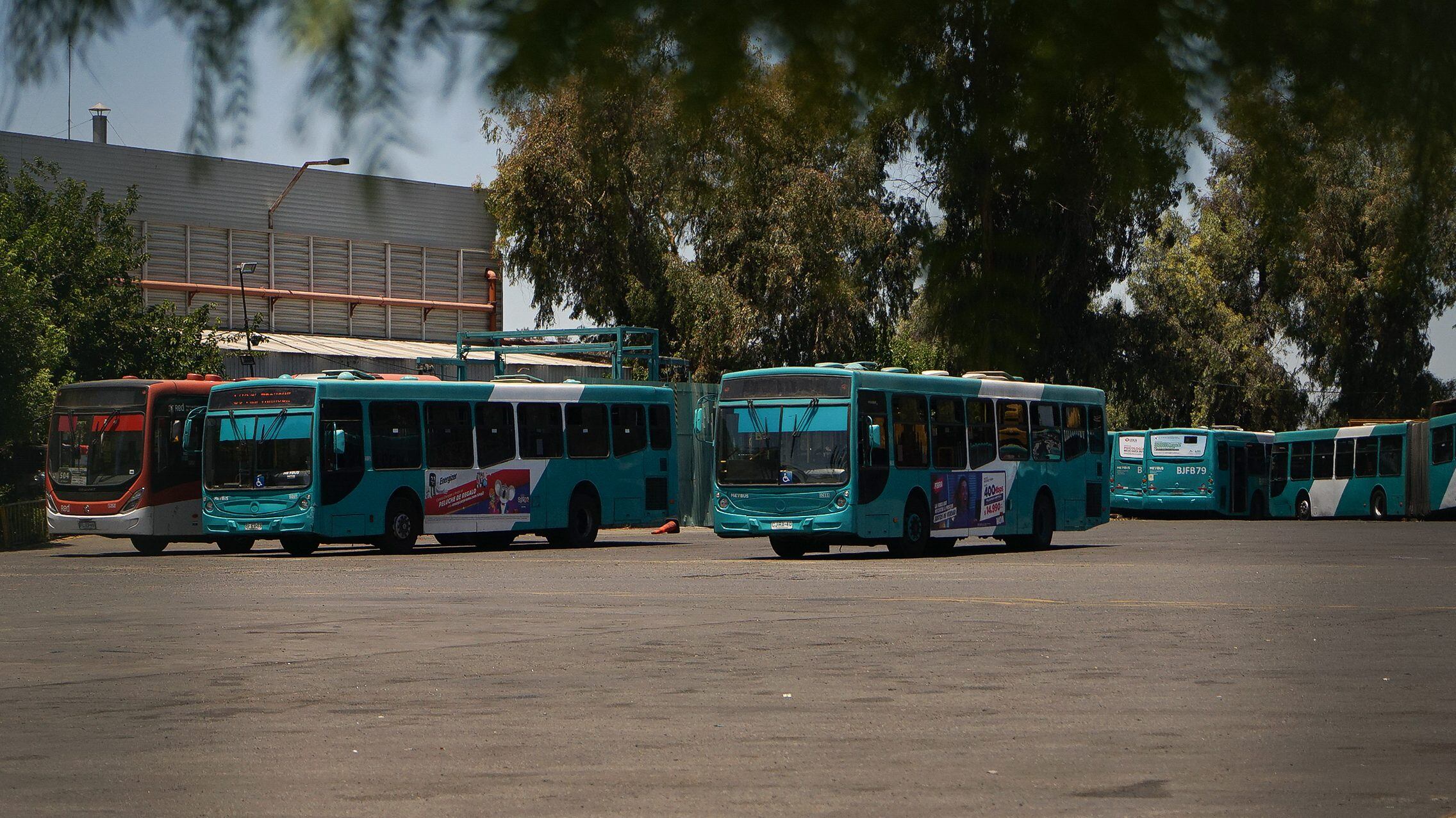 Transportes envió oficio tras falta de buses en elecciones del domingo