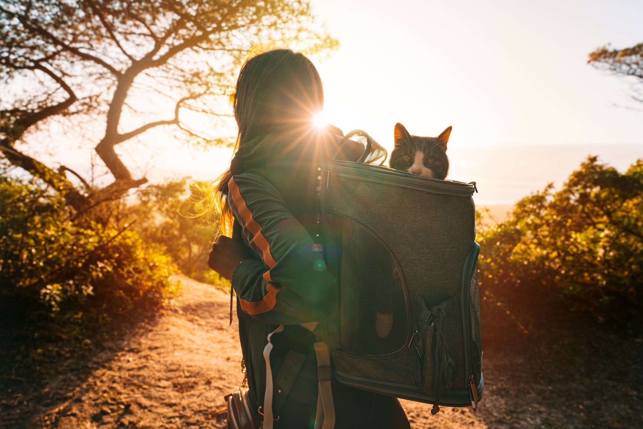 Consejos para cargar una mochila sin dañar tu espalda