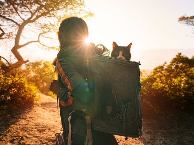 Consejos para cargar una mochila sin dañar tu espalda