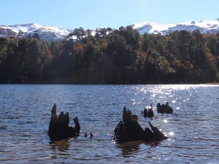 Conaf expulsó a turistas por usar fuego en Parque Nacional Conguillío