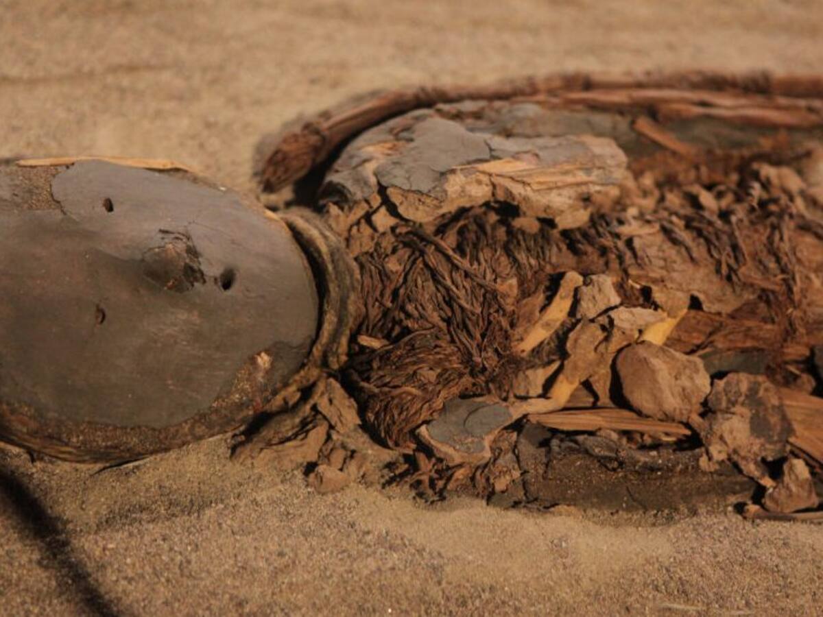¿Pan con levadura de 5.300 años? El asombroso hallazgo en la momia de Ötzi que revoluciona la ciencia