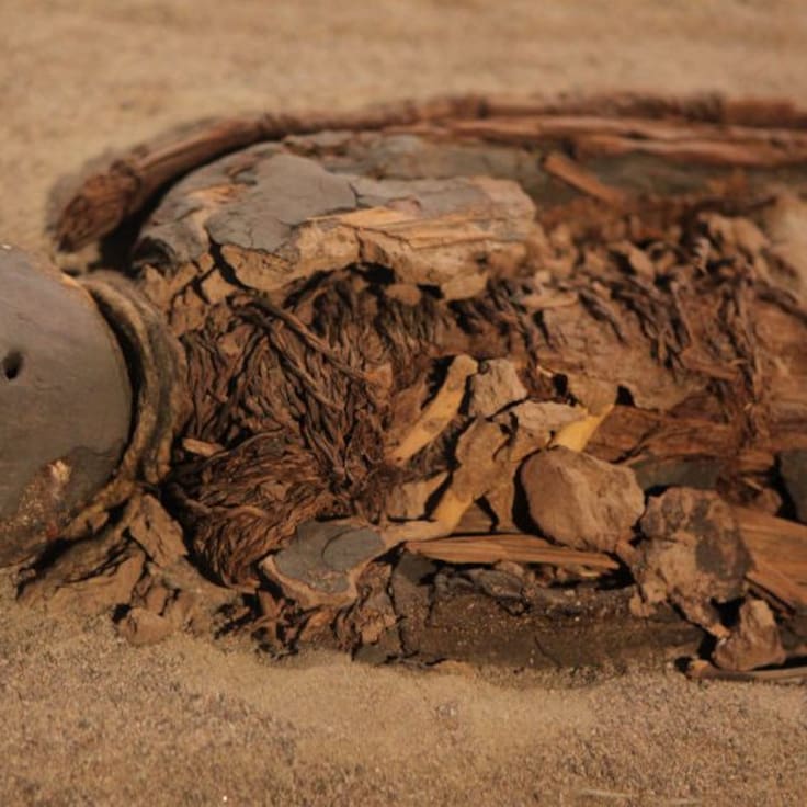 ¿Pan con levadura de 5.300 años? El asombroso hallazgo en la momia de Ötzi que revoluciona la ciencia