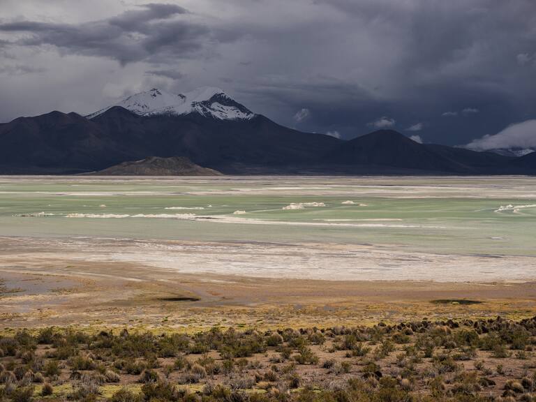 Un ecosistema verde: así era el Desierto de Atacama hace 230 millones de años, según estudio