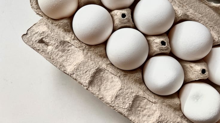 Por alza de las bencinas: precio de los huevos subiría hasta 10% en las próximas semanas en Chile