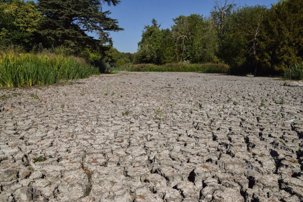 Un lago queda seco en Wanstead Park de la ciudad de Londres
