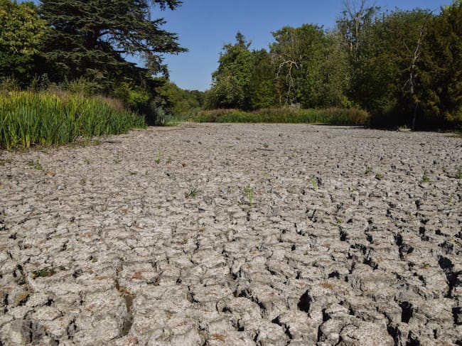Un lago queda seco en Wanstead Park de la ciudad de Londres