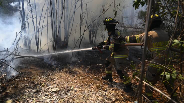 Senapred declara alerta roja en Machalí por incendio forestal