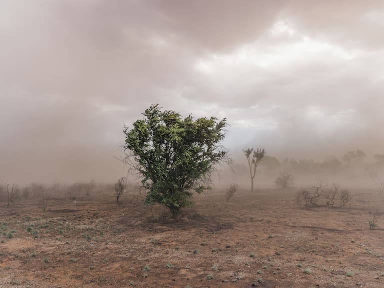 Meteorología emite alerta por vientos de hasta 90 km/h y tormentas de arena: revisa las regiones afectadas