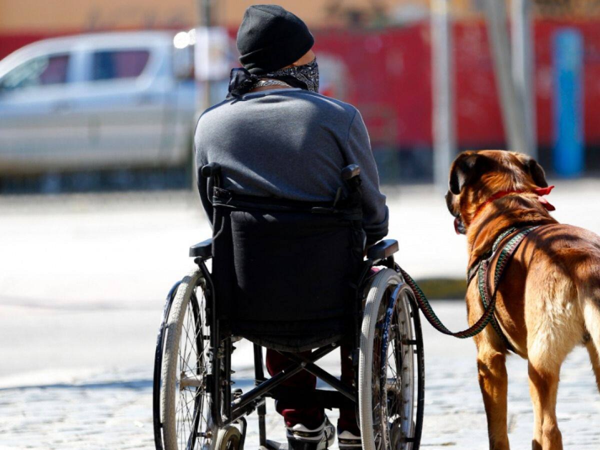 Fundación Chilena para la Discapacidad y diputados piden aumentar penas para quienes cometan delitos contra personas con movilidad reducida