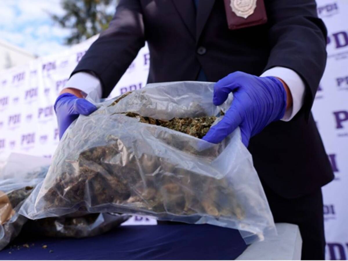 Fiscalía de Alto Hospicio y PDI desbaratan banda familiar que trasladaba 304 kilos de droga a la zona central