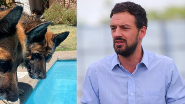 Alcalde Tomás Vodanovic denuncia envenenamiento de sus perros: “Me cuesta entender la maldad”