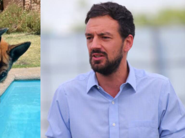 Alcalde Tomás Vodanovic denuncia envenenamiento de sus perros: “Me cuesta entender la maldad”