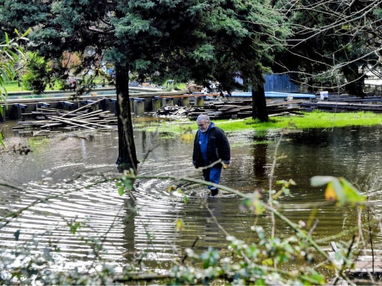 Lluvias dejan a pequeños agricultores bajo presión: INDAP detalla catastro de daños y plan de apoyo tras sistemas frontales
