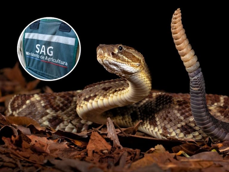 Getty Images | Agencia Uno