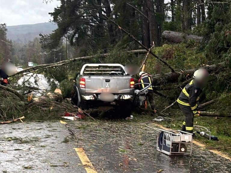 Fatal accidente en Panguipulli: dos personas mueren tras caída de árboles sobre camioneta