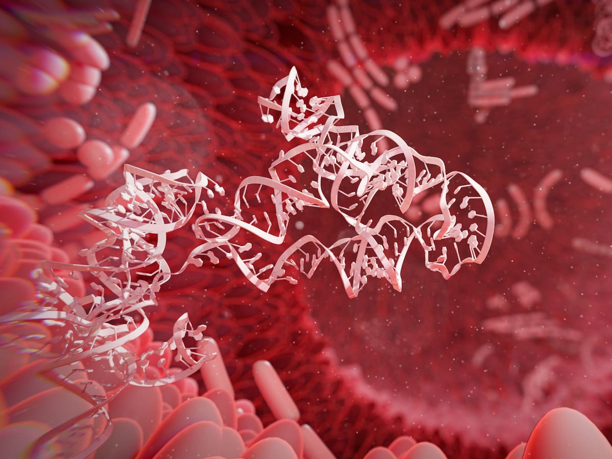 Alerta de salud: el peligro oculto del azúcar para las personas que luchan contra el cáncer