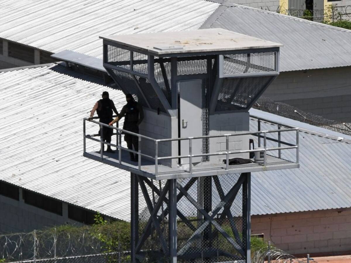 Crimen organizado - Daniela Forero-Ortiz - Mediodía en ADN - 17 de mayo de 2024