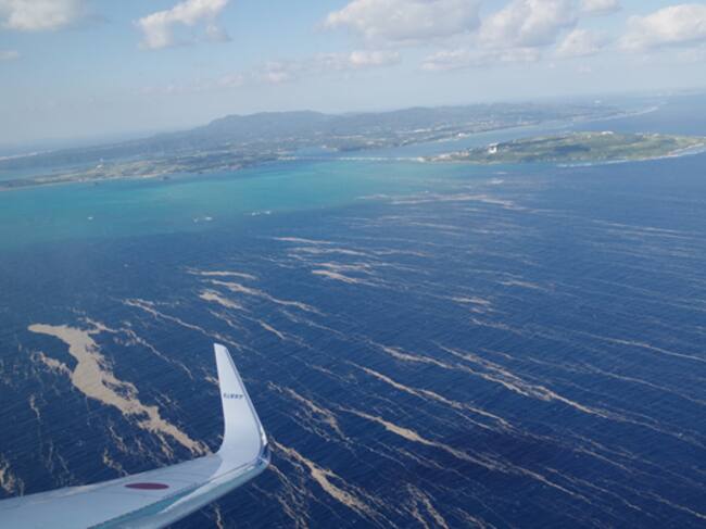 Imagen de los desechos volcánicos que se ven en la costa de Japón
