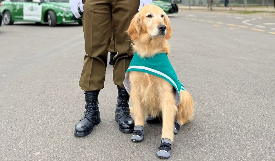 Derby se retira en la Parada Militar