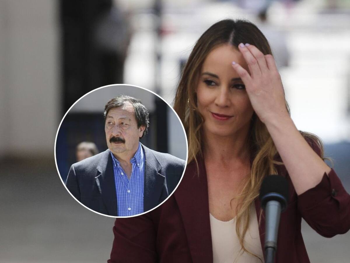 Nuevo traspié de ministra Sedini: comete error clave sobre situación de Galvarino Apablaza por crimen de Jaime Guzmán