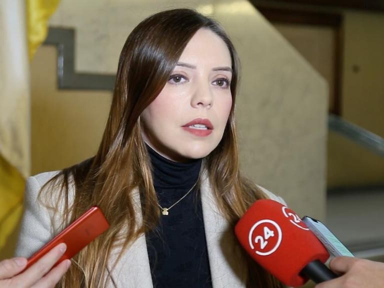 Diputada Camila Flores denuncia que ex directora de salud de Santiago involucrada en caso Sierra-Bella estaría trabajando en el Servicio de Salud Viña del Mar-Quillota
