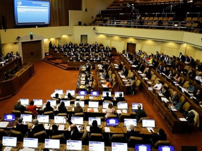 Presidente de la Cámara de Diputados confirmó investigación contra parlamentario por acoso sexual